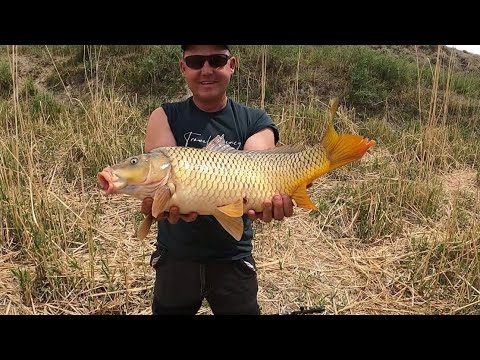 Видео: река Или рыбалка самое крутое место