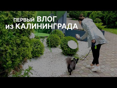 Видео: Мой первый VLOG из Калининграда | Гуляем по нашему району в поисках квартиры мечты.