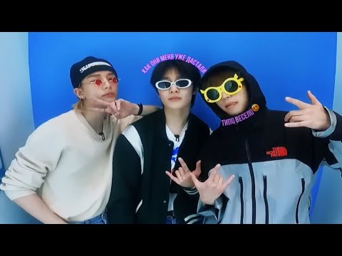 Видео: лучшие друзья