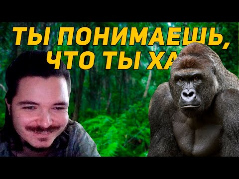 Видео: Маргинал отрицает язык у животных | Защита теории Хомского