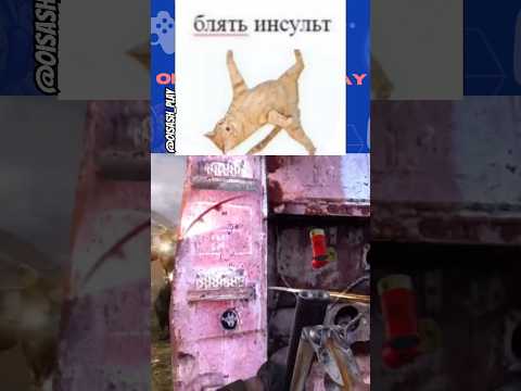 Видео: #oisash #прохождение #games #stalker