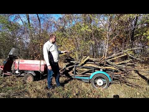 Видео: ЕДУ ЗА ДРОВАМИ! МУРАВЕЙ с ПРИЦЕПОМ!