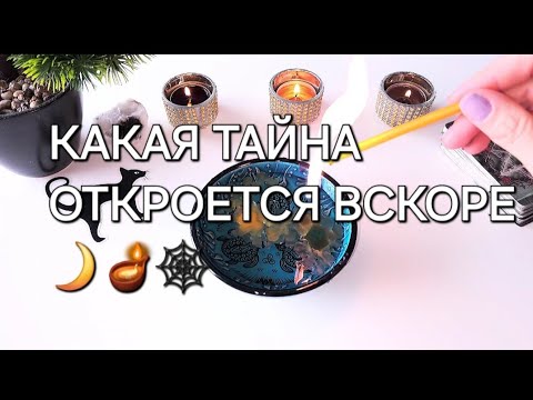 Видео: 🕸.. 🔥 ЧТО ТАЙНОЕ СТАНЕТ ЯВНЫМ СКОРО 🗝THE MYSTERY WILL BE REVEALED SOON🌑🪔