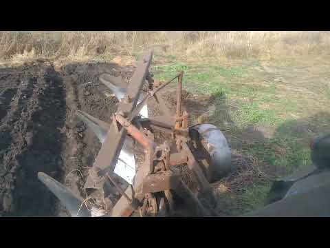 Видео: МТЗ 80 вспашка огородов осень 2023 г.