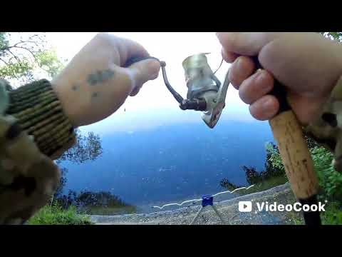 Видео: Пробую ловить на гороховую мастырку!