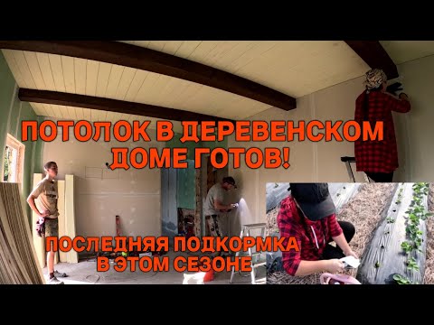 Видео: Жизнь в деревне. Осенние огородные хлопоты. Запустили тепло, перевоплощение избушки продолжается.