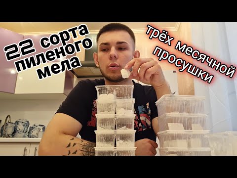 Видео: 22 сорта пиленого мела | 3 месяца просушки | Меловой