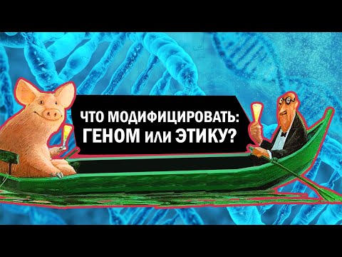Видео: Что модифицировать: геном или этику?
