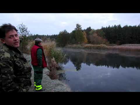 Видео: рыбалка р.Ворскла с.Куземин  17 октября 2021г.