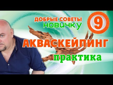 Видео: Аквариум. Акваскепинг. Практика. Добрые советы новичку.