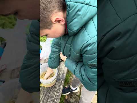 Видео: Первая рыбалка на школьных каникулах.  Молодой, а уже мастер.