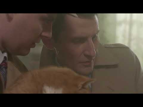 Видео: Без лица (HD) - Вещдок - Интер