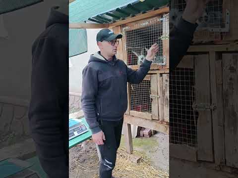 Видео: 1 ноября 2025 г.