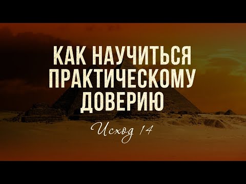 Видео: Как научиться практическому доверию? (Валерий Поважнюк)