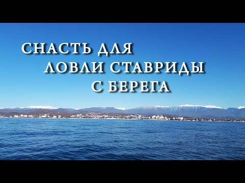 Видео: Снасть для ловли ставриды с берега