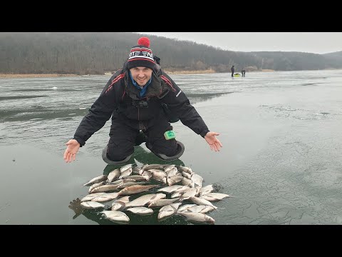 Видео: Ловля леща зимой на мормышку. Печенежское водохранилище. Максимум рыбалки.