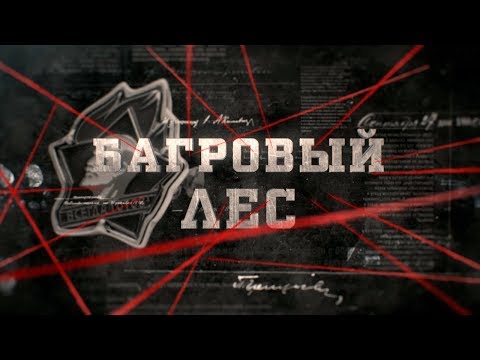 Видео: Багровый лес | Вещдок