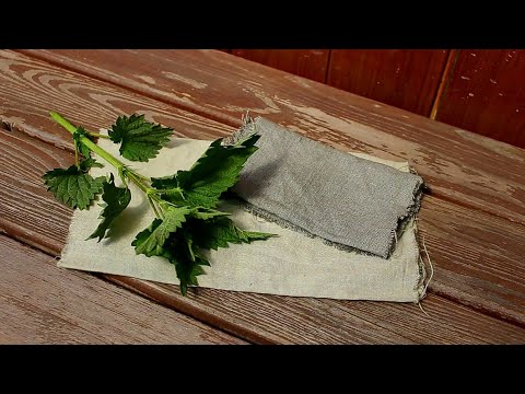 Видео: Окрашивание ткани натуральными красителями: Крапива / Natural Dyes: Nettle