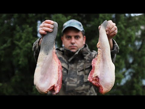 Видео: ШАШЛЫК ИЗ ГОВЯЖЬЕГО ЯЗЫКА.НЕ ДУМАЛ ЧТО ПОЛУЧИТСЯ ТАК ВКУСНО