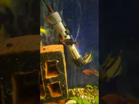 Видео: Коледно!Отговори на въпроси