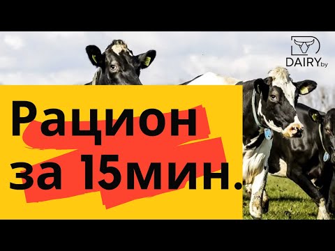 Видео: Рацион для коровы за 15 минут. Обзор для чайников. Принципы создания и контроля