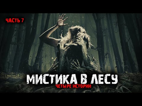 Видео: Мистика в лесу (4в1) Выпуск №7.