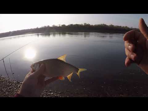 Видео: Рыбалка на Оке c эхолотом практик 7 wi-fi