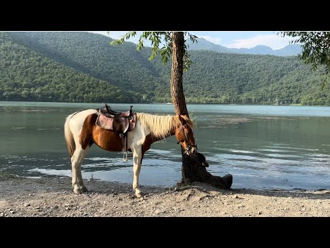 Видео: Баку🔥Габала.Озеро НОХУР.Baku-Qabala Nohur göl#azerbaycan#еда#baku#qabala#travel#