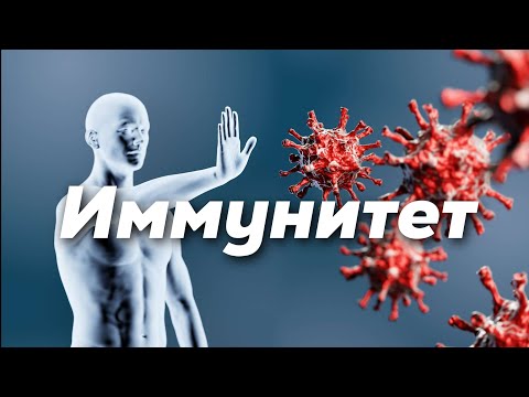 Видео: Иммунитет | Механизм | Түрлері
