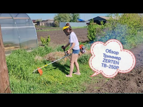 Видео: Обзор на бензиновый триммер для травы ZERTEN TB-250P ❤  Подписывайтесь друзья ✨ #триммер