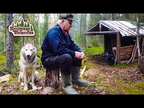 Видео: ПОХОД В ЛЕС С ХОПКИНСОМ. ЛЕСНАЯ ИЗБА. Добрые походы.