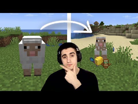 Видео: Minecraft, НО овцете... Minecraft Challenge