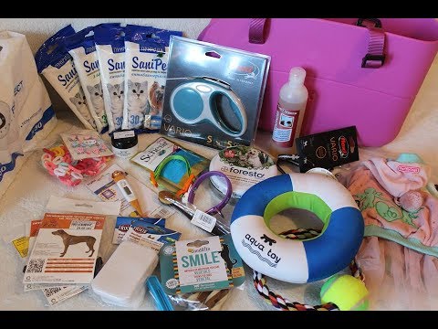 Видео: Все зоопокупки за июнь для моих собак:) Йоркширские терьеры Тиффани и Шарлотта