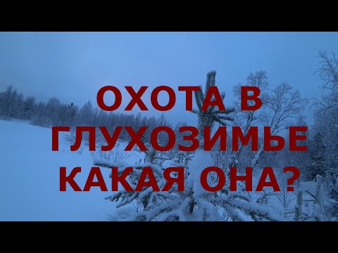 Видео: ОХОТА НА ЗАЙЦА ПО ГЛУБОКОМУ СНЕГУ!  #охота #охота_на_зайца #тропление #тропим_зайца_на_лыжах