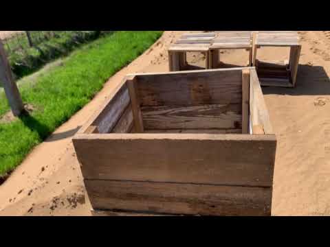 Видео: Катумы. Строительство навеса для зимовки.