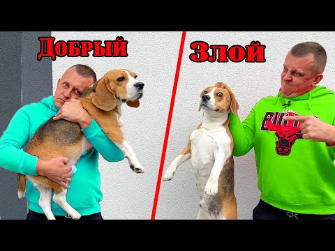 Видео: ДОБРЫЙ БАТЯ VS ЗЛОЙ БАТЯ. БРОС ШОУ ПЕТ