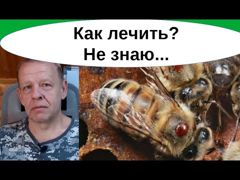 Видео: Лечение пчёл от клеща, варроатоза. Обработка пчёл и не только