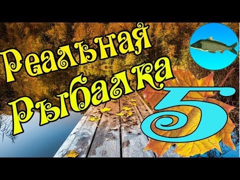Видео: Реальная рыбалка игра на Android #5, РЫБХОЗ, ЗОЛОТАЯ ЖИЛА, МНОГО ДЕНЕГ