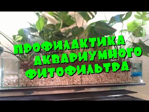 Видео: Чистка аквариумного фитофильтра обратным током воды.