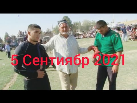 Видео: Кураш чорбог 05 09 2021
