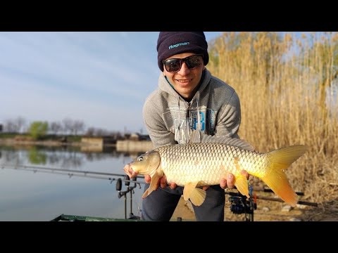 Видео: АЛЯУДЫ И ПЕРВЫЙ КАРП брательника