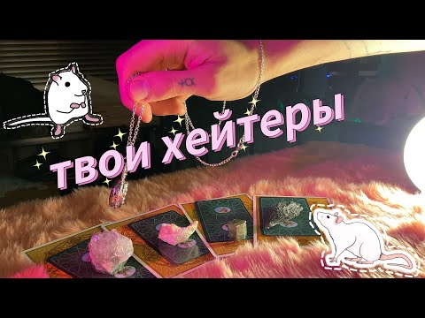 Видео: 🐁🔮выбери карту: что говорят крысы за спиной у кисы?