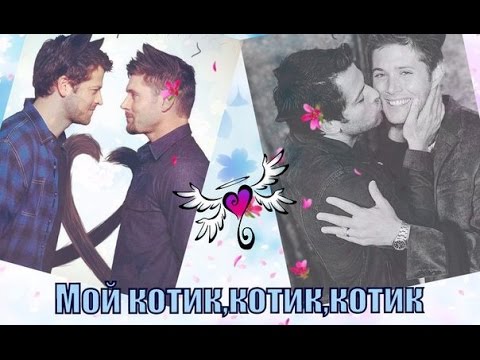 Видео: Мой котик,котик,котик - Дестиэль