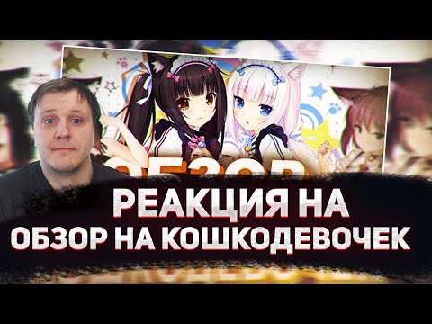 Видео: 😁РЕАКЦИЯ AMIGON НА ОБЗОР НА КОШКОДЕВОЧЕК