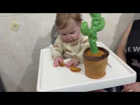 Видео: ВЛОГ.Ура,мы в Витебске😍 |Едем в детмир 🧸