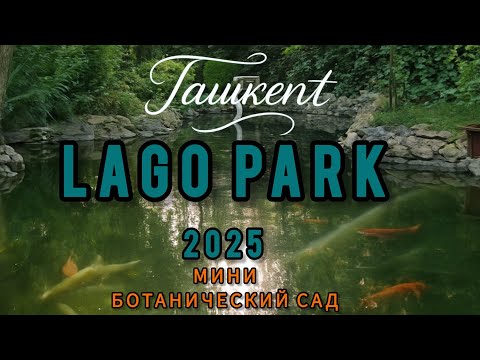Видео: 🌿 Lago Park в Ташкенте — озеро, рыбалка, лебеди и уют как в сказке! #4k #travel