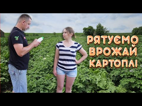 Видео: 🇺🇦НА НАС НАПАЛИ🕷 Відбиваємось від  шкідників. Останнє підгортання картоплі!