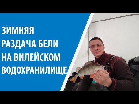 Видео: РЫБА НЕ ДАЕТ ОПУСТИТЬСЯ КРЮЧКУ! ЗИМНИЙ КЛЕВ НА ВИЛЕЙСКОМ ВОДОХРАНИЛИЩЕ!