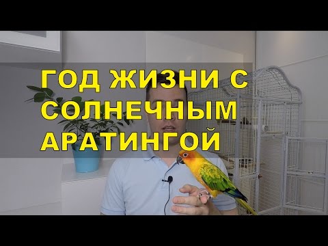 Видео: Солнечный Аратинга - мои впечатления после года жизни.
