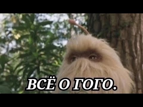 Видео: Всё о Гого.